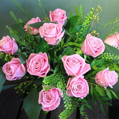 Pale Pink Dozen