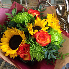 Sunflower Cheer