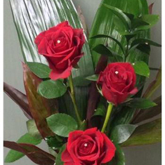 Trio of Roses