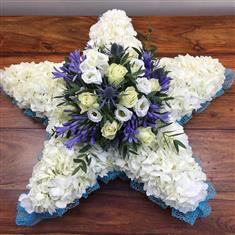 A Star Remembered