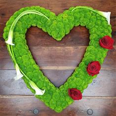 Heart of Remembrance
