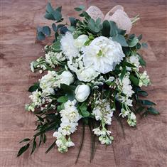 Ivory Eucalyptus