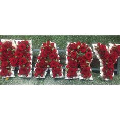 Mary Letter Tribute