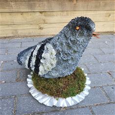 Pigeon Tribute