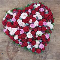 Rose Garden