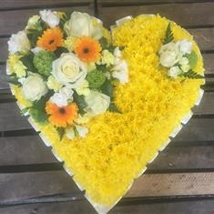 Sunshine Heart