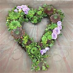 Woodland Memory