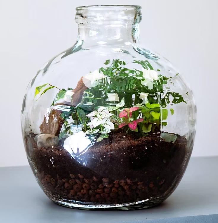 Low-maintenance plants enhancing a reception area