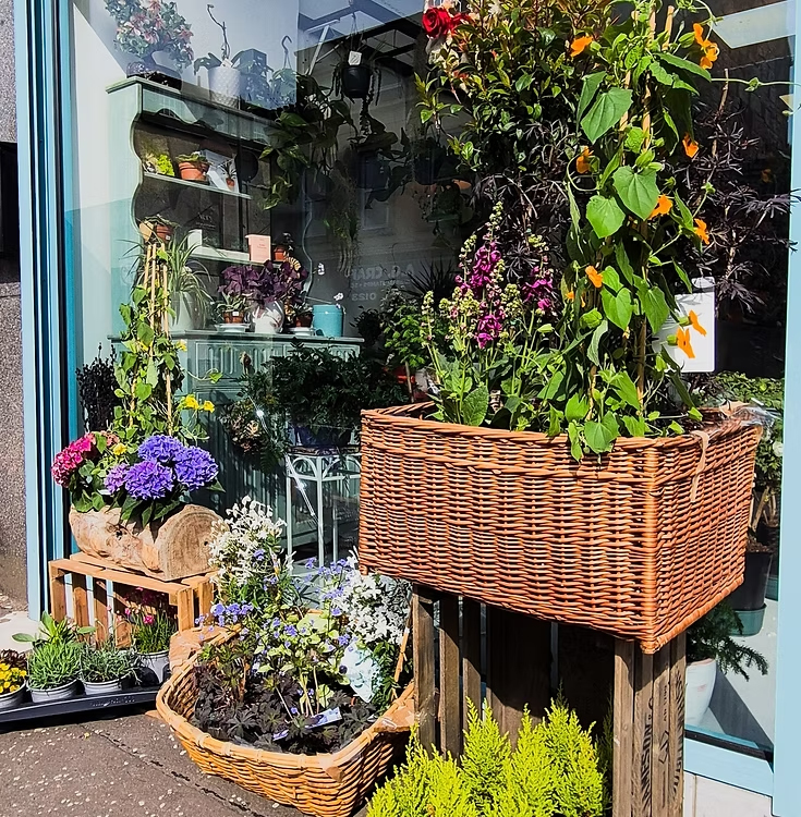 Seasonal fresh-cut blooms in vibrant colours