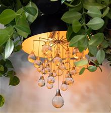 Beautiful botanical display