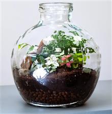 Low-maintenance plants enhancing a reception area