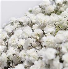 Sympathy bouquets designed in Airdrie by E R Renovo Ltd